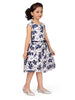 Aarika Girl's Cotton A-Line Knee-Length Dress